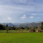 Plana Morro * Pollença
