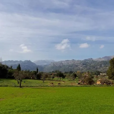 Plana Morro * Pollença