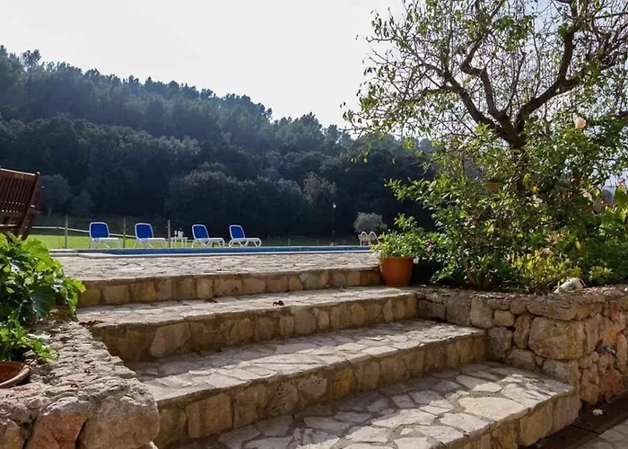 Plana Morro Pollensa